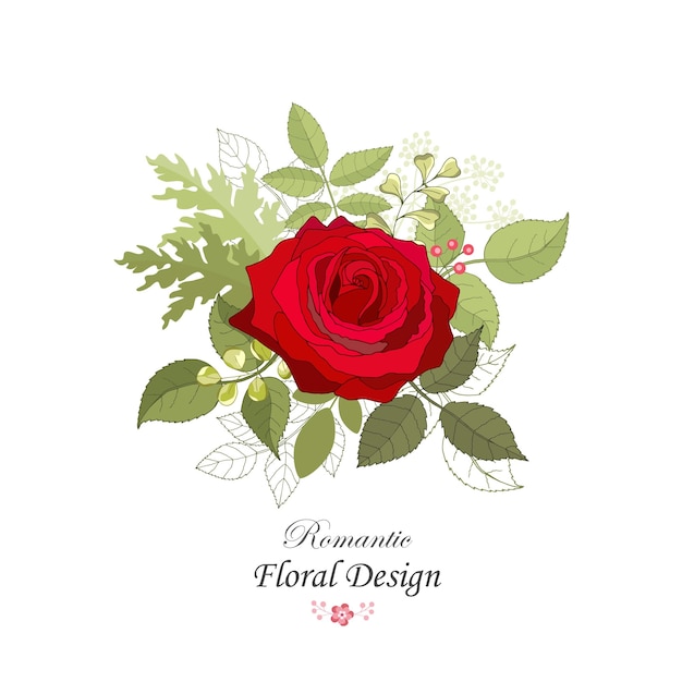 Bloemen instellen de roos elegante kaart vectorillustratie