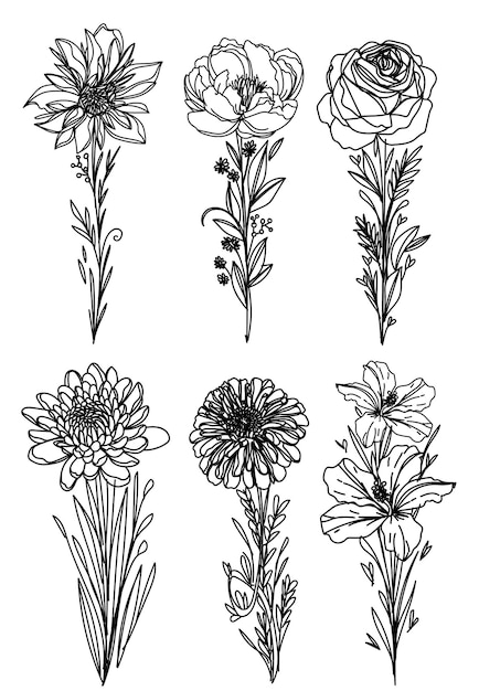 Bloemen instellen hand schets tekening zwart-wit