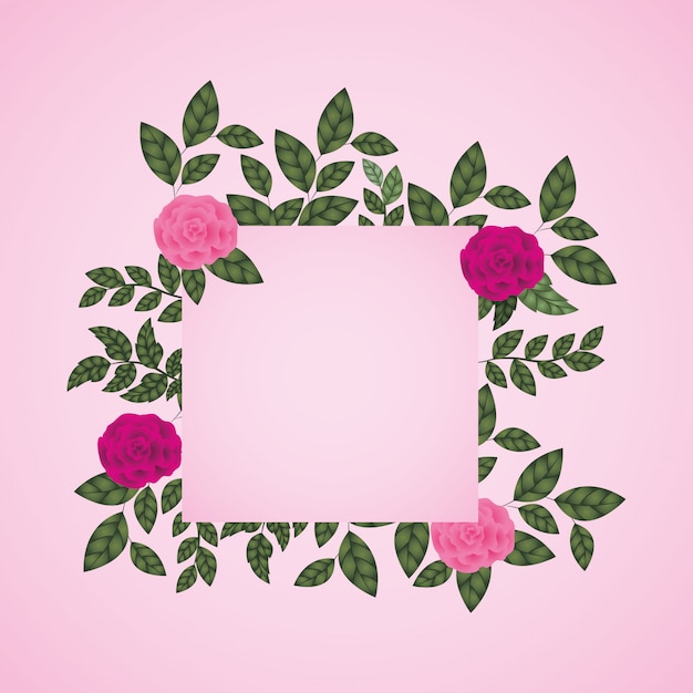 Bloemen rozen decoratie vierkant frame