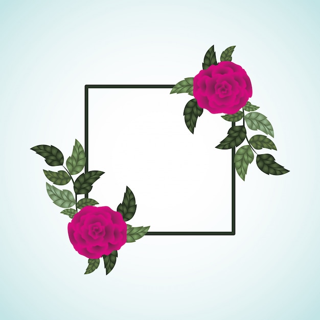 Bloemen rozen decoratie vierkant frame