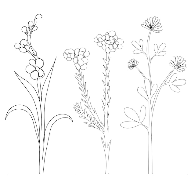 Bloemen schets schets geïsoleerde vector