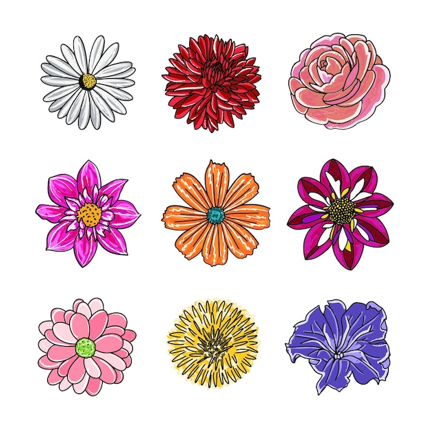 bloemen vector illustraties