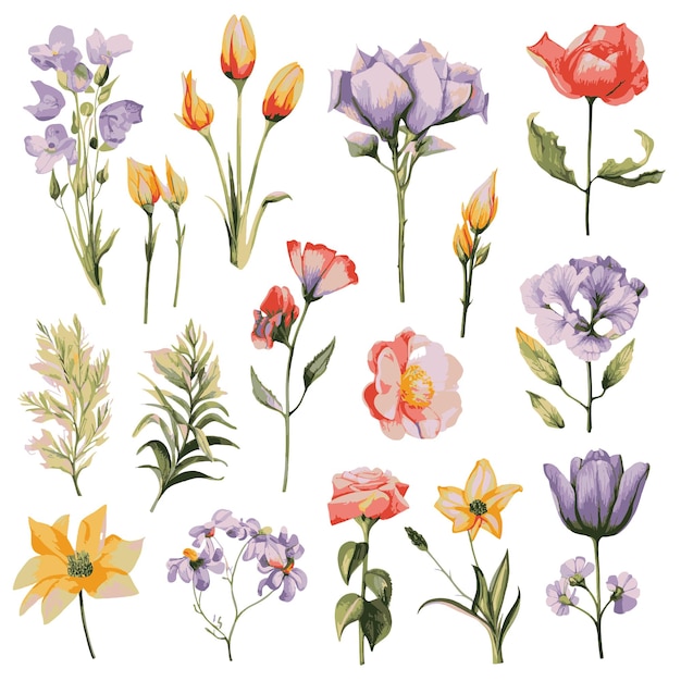 Vector bloemen