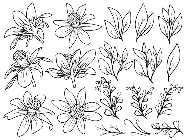 Bloemenarrangement met met de hand getekende lijnkunst