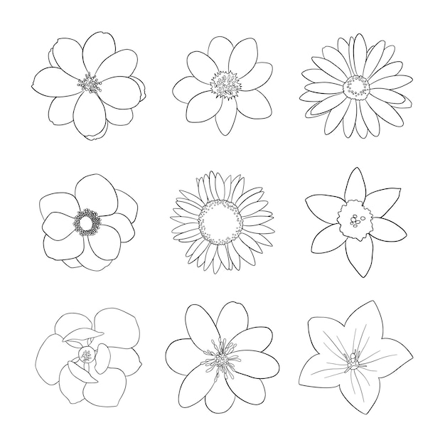 Bloemencollectie