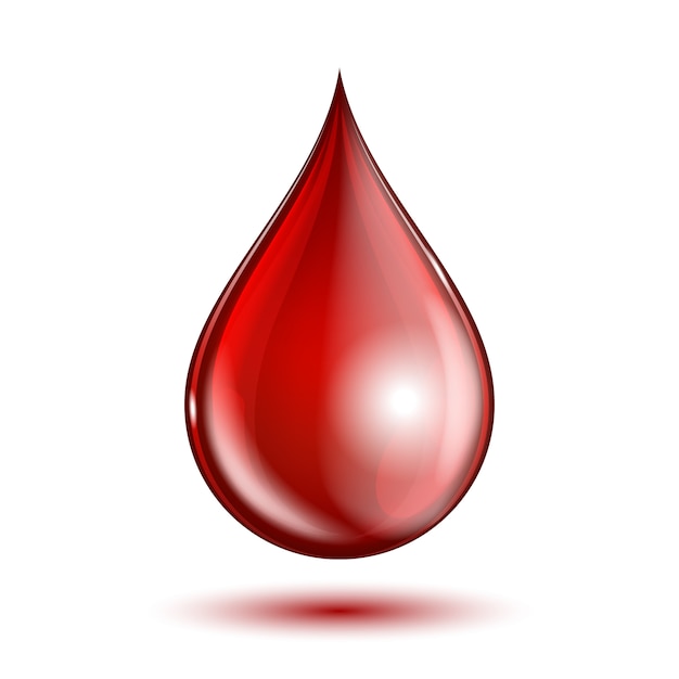 Vector blood drop isolated on white.