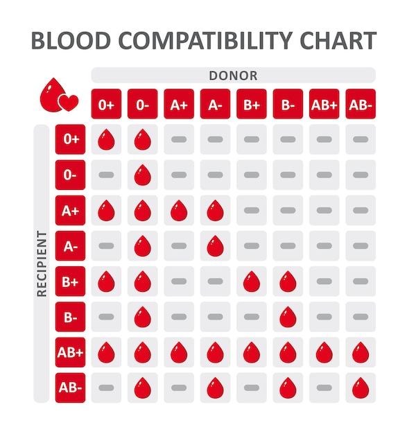 Вектор Таблица совместимости групп крови