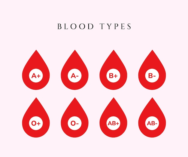 벡터 혈액 그룹 아이콘 또는 혈액 그룹 아이콘  ⁇ 터  ⁇ 화
