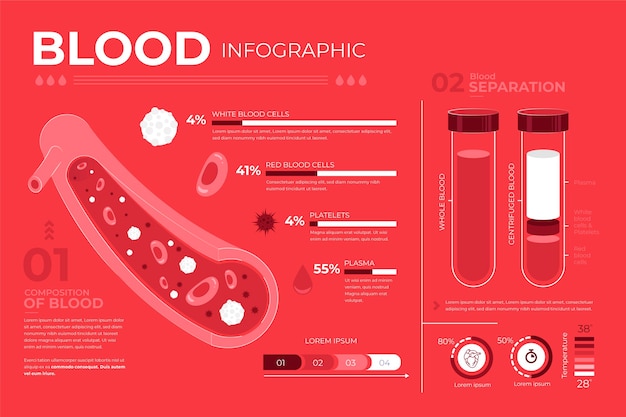 Vector blood infographic in flat design