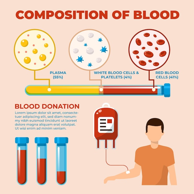 벡터 평면 디자인의 혈액 인포 그래픽