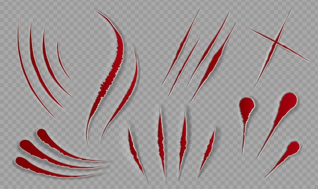 Vector blood scratches and cuts. bloody scars and sharp slashes. ripped wounds by animal paws. halloween scary decor. cat claws tracks vector set. illustration slash and edge of trace