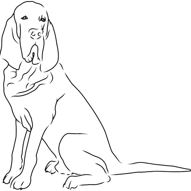 Bloodhound dog hand sketched vector drawing