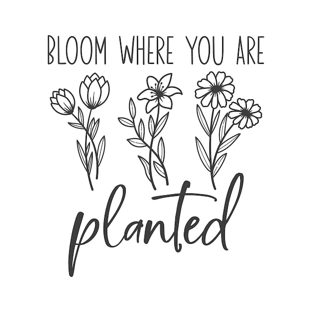 Bloom where you are planted inspirational slogan inscription Vector quotes Illustration for prints