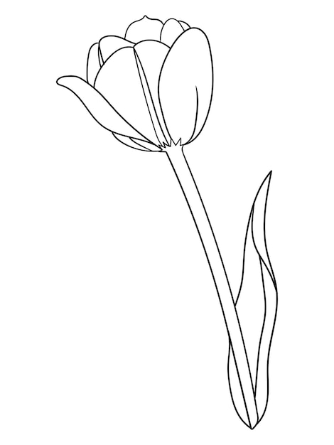 Vector blooming adventures a delightful black and white flower coloring journey