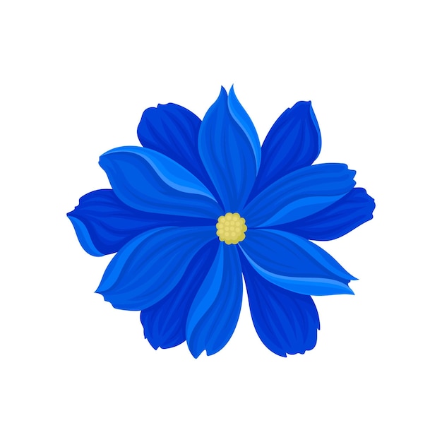 Vector blooming blue flower with a small yellow center view from above vector illustration on white background