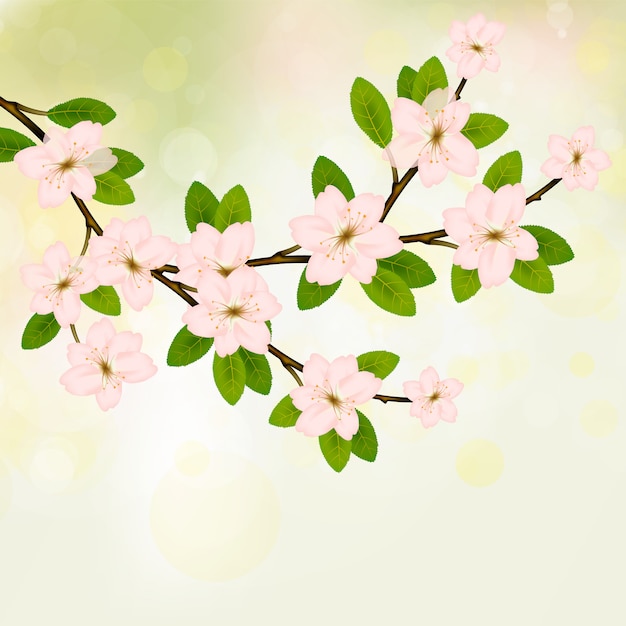 Blooming branch vector with pink spring blossom.