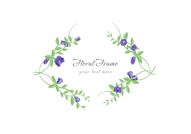 Vector blooming butterfly pea frame vector on white background