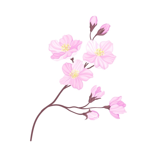 Blooming Cherry Branch with Tender Pink Flower Blossoms Vector Illustration