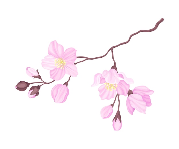 Vector blooming cherry branch with tender pink flower blossoms vector illustration