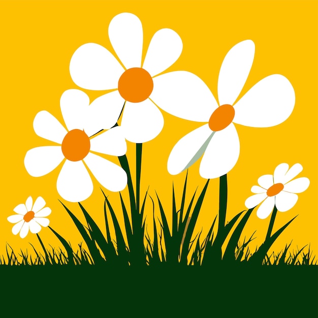 Vector blooming daisies with white yellow flowers and green grass shallow depth of field