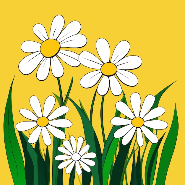 Blooming daisies with white yellow flowers and green grass shallow depth of field