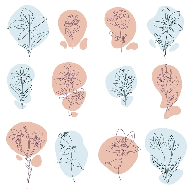 Vector blooming flowers drawn in line art