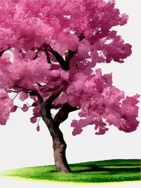 Blooming flowers or sakura cherry tree view isolated on background for landscape and architecture