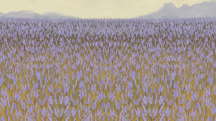 Vector blooming lavender garden background template vector
