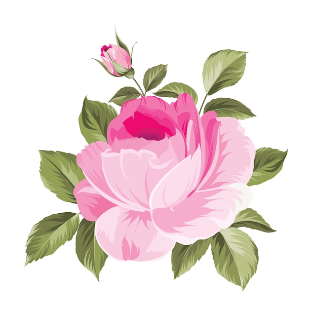 Blooming Rose, 굉장한 단일 꽃다발.