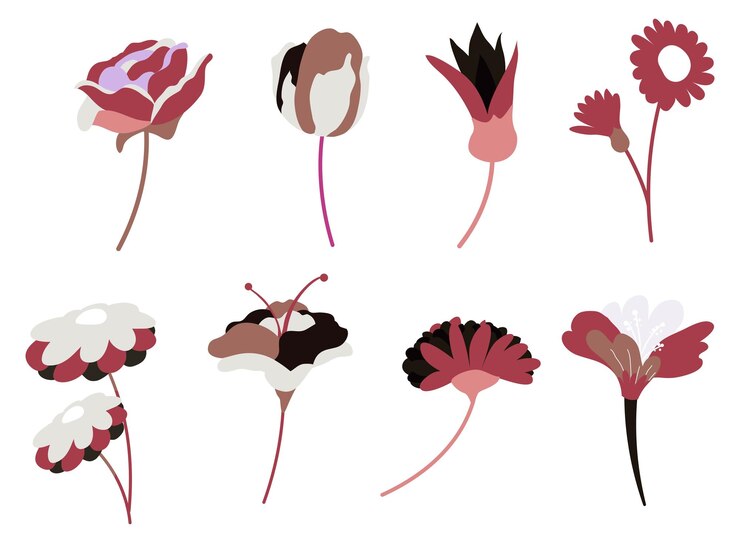Vector blooming summer flowers blossom and flourishing