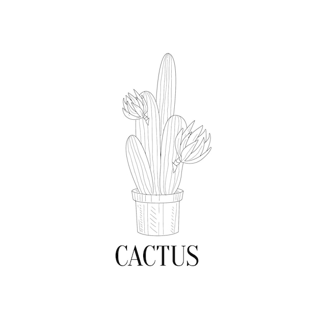 Цветущий высокий кактус в горшке, нарисованный вручную реалистичный эскиз