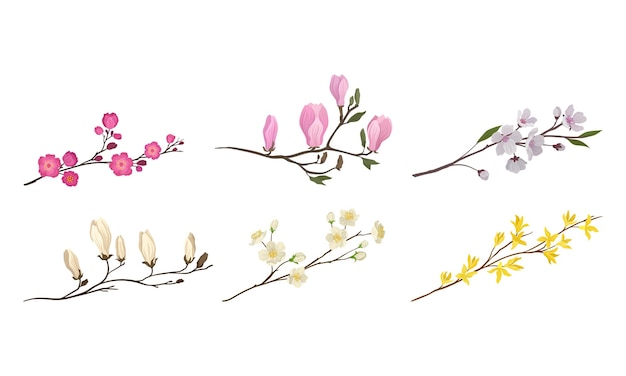 Blooming tree branches and twigs with tender flower buds vector set