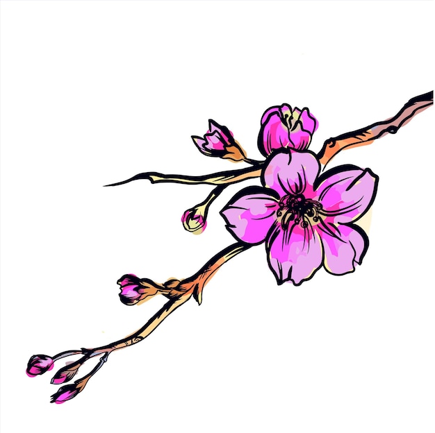 Blooming tree flower sakura doodle illustration