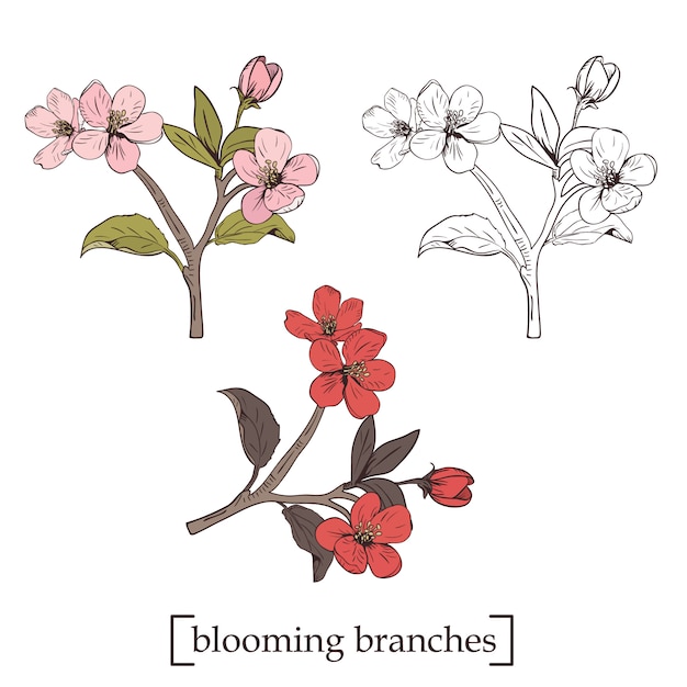 Vettore albero in fiore. imposta raccolta. rami di fiori botanici disegnati a mano