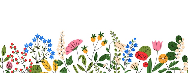 Vector blooming wild field flowers, decorative border. spring floral nature decoration, banner. blossomed meadow plants, delicate summer flora decor. flat vector illustration isolated on white background.