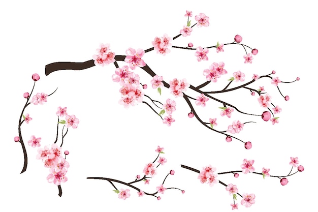 blossom brilliance celebrating cherry blossom day in full bloom