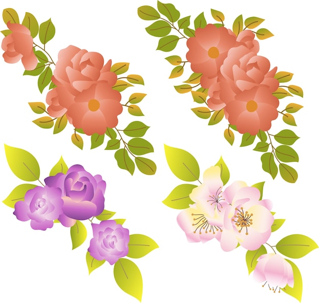 Vector blossom flower bouquet