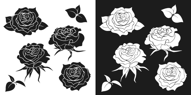 開花したバラのつぼみの黒と白のシルエット