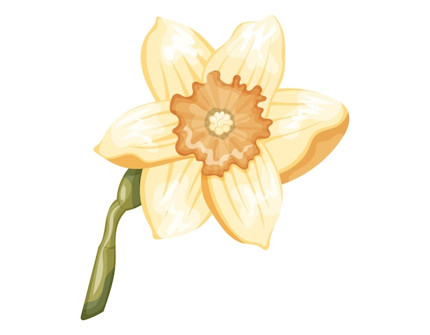 줄기  ⁇ 터 고립 된 만화 꽃에 잎자루가 있는 노란색 나폴리꽃의 꽃봉오리