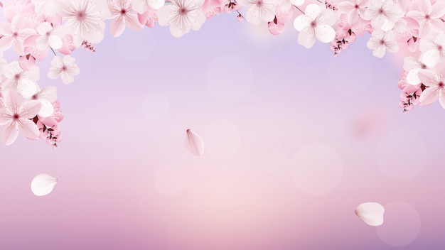 Vector blossoming light pink sakura flowers