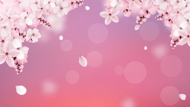 Vector blossoming light pink sakura flowers