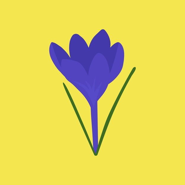 満開の紫色のクロッカスの花 初春の花