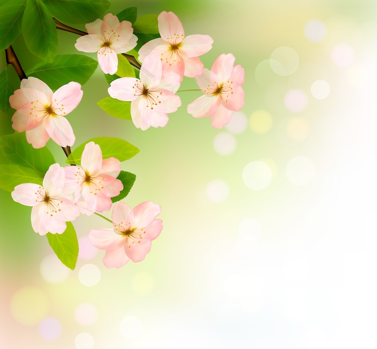 Vector blossoming tree brunch with spring flowers