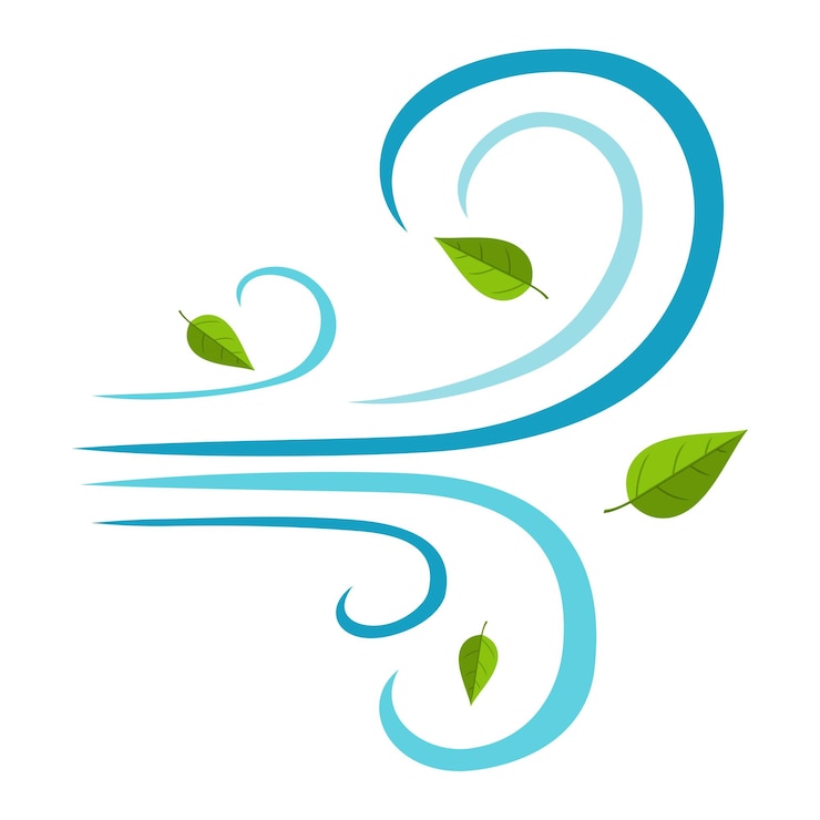 Vector blowing wind with flying leaves icon isolated on white background weather sign