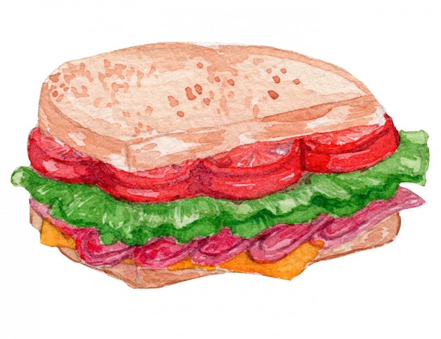 Vettore illustrazione dell'acquerello del panino blt