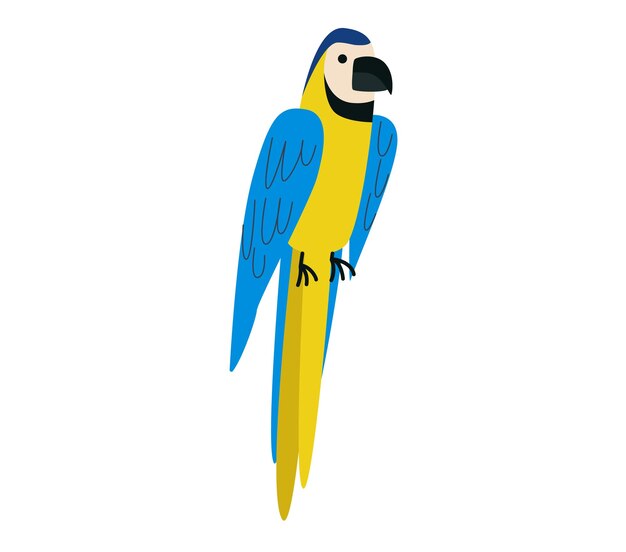 ベクトル 青と黄色のマカウ・パロットが座った熱帯鳥のイラスト 野生生物とエキゾチックな鳥の概念