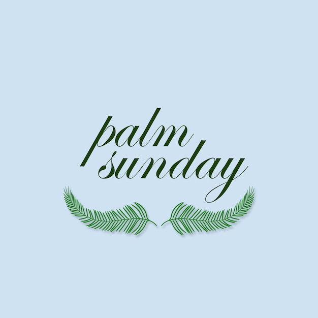 A blue background social media post of Palm Sunday