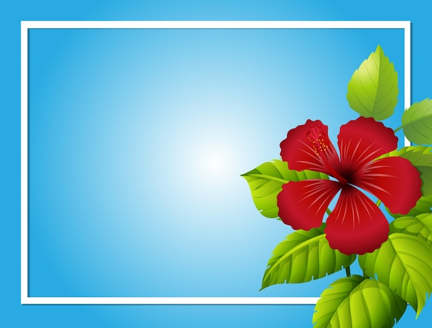 Vector blue background template with hibiscus flower