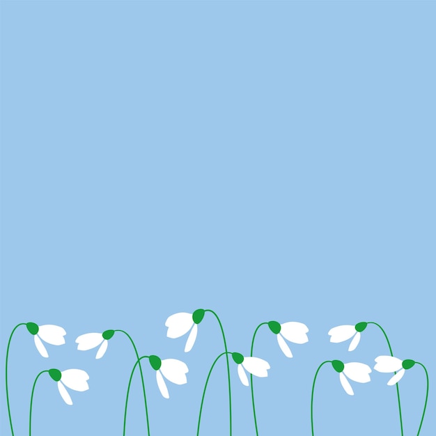 Blue background with white snowdrops, flat vector, simple background