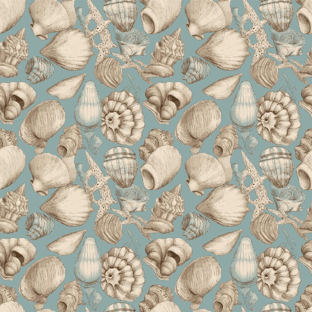 A blue and beige sea shells wallpaper that says sea shells